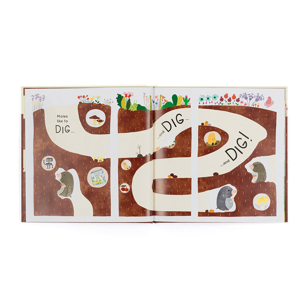 Muswell Mole And The Buried Treasure Book - US 5313